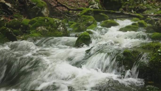 风景秀丽的河流萨瓦波欣卡流过苔藓覆盖的岩石在森林，波欣吉