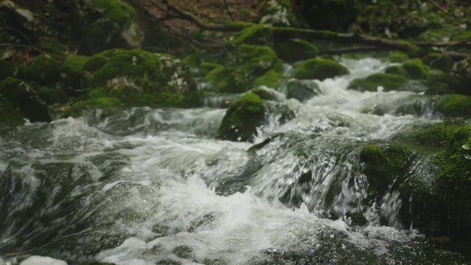 萨瓦·博欣卡河(Sava Bohinjka)在博欣吉的森林中流过苔藓覆盖的岩石