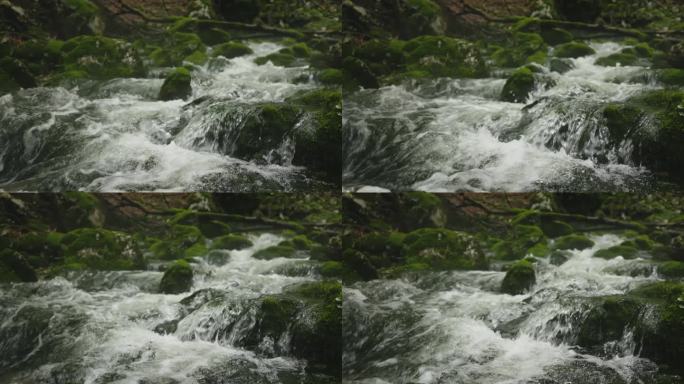 萨瓦·博欣卡河(Sava Bohinjka)在博欣吉的森林中流过苔藓覆盖的岩石