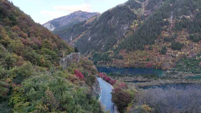 航拍四川九寨沟树正海群海秋季彩林风景空镜