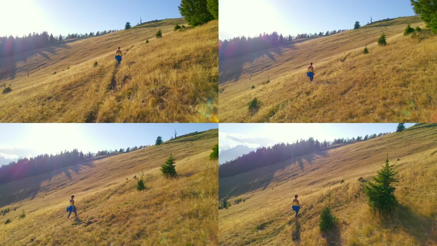 航拍:秋天的高山草地，年轻的运动女士带着她的狗往山上走