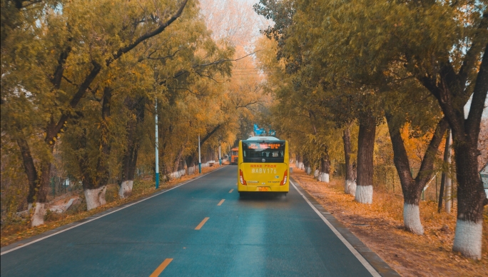 在公路上开车在路上旅途行驶的汽车第一视角