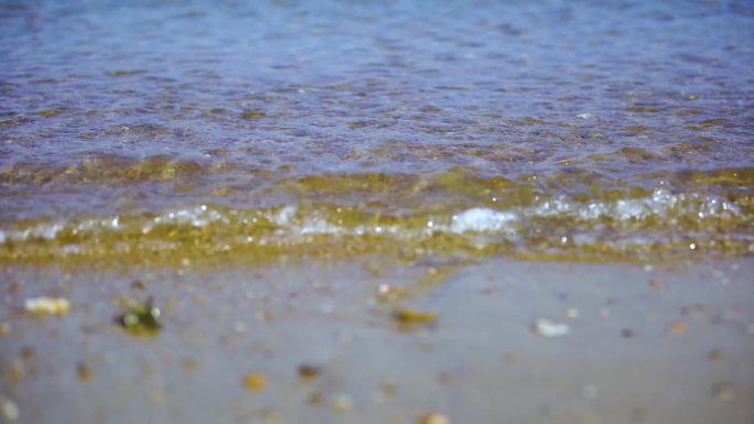 浪花沙滩