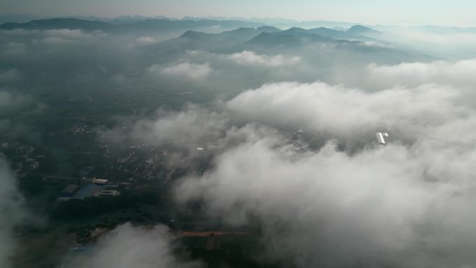 云雾缭绕 清晨 雾景 大雾云海