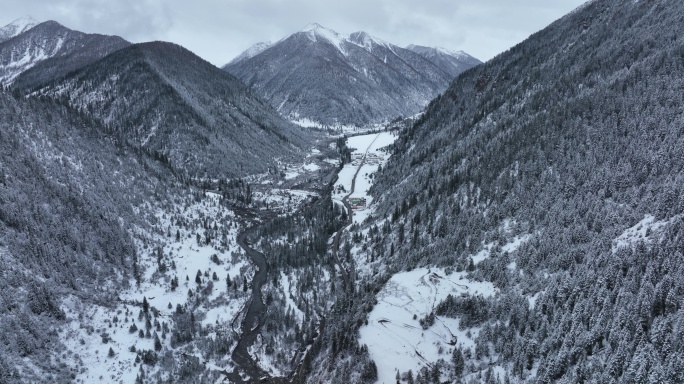 冬天的森林雪山