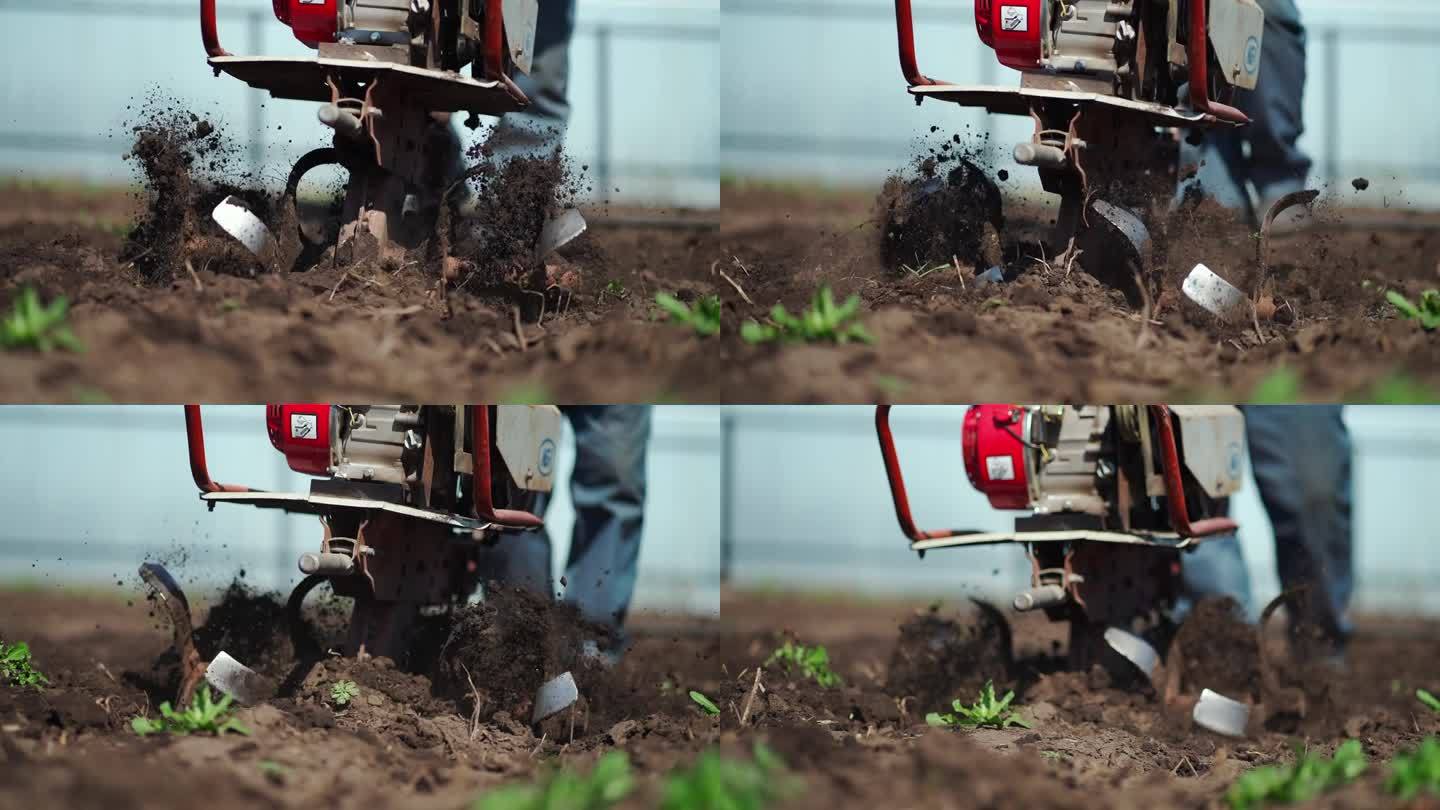家农业。(特写)一位农民在花园里用汽油犁犁地。农学家操纵双轮拖拉机在人工林土壤上犁地。手动电动犁抛土