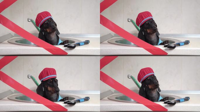 滑稽的水管工狗穿着制服，盖着胶带坐在厨房水槽里，修理
