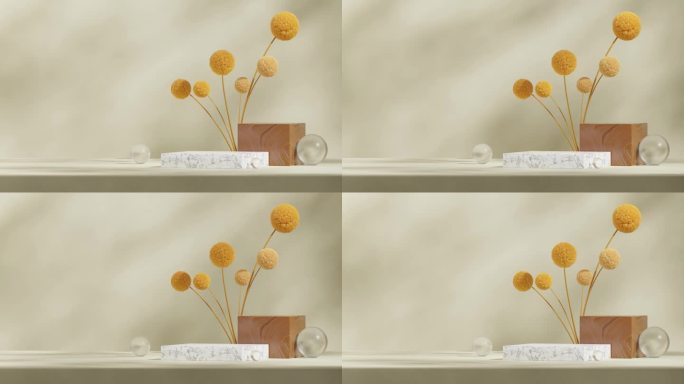 含羞草和玻璃球在3d视频渲染空白仿大理石和木块讲台循环无缝阴影动画