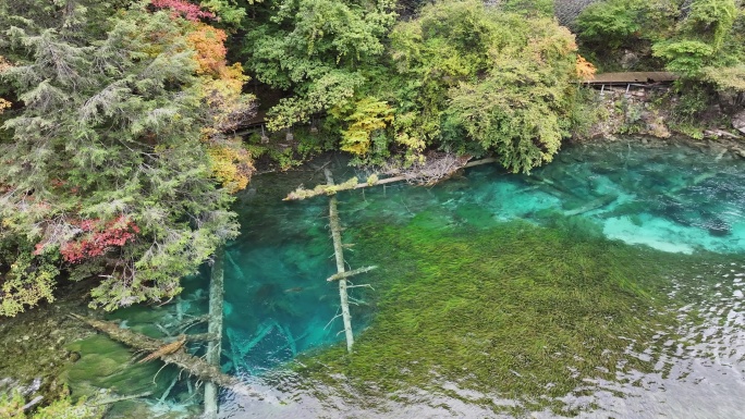 阿坝九寨沟秋景航拍