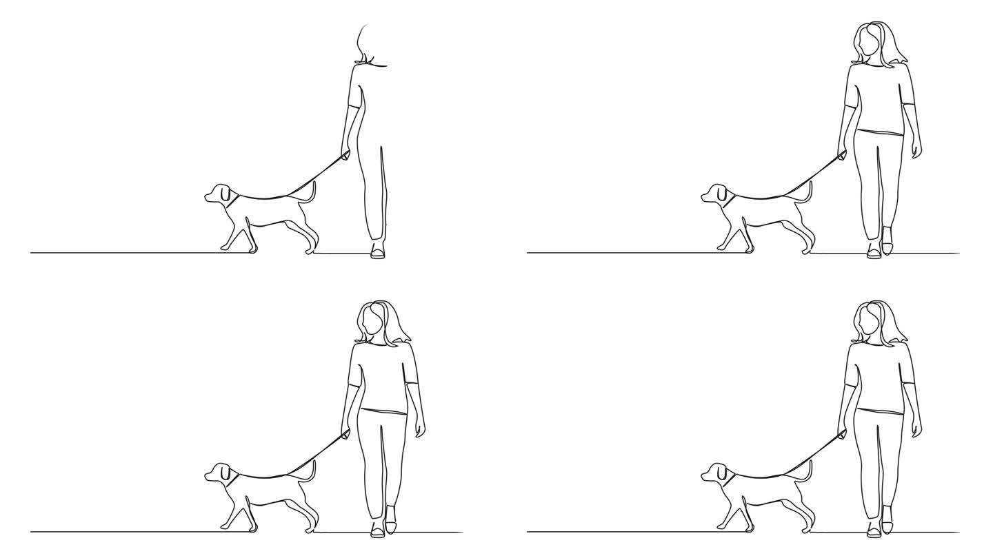 动画连续单线绘制的女人遛狗