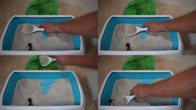 一名男子清理猫的猫砂盘，并将任何硬块扔进塑料垃圾袋。
