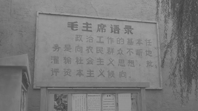 六七十年代毛主席语录黑白胶片彩色镜头