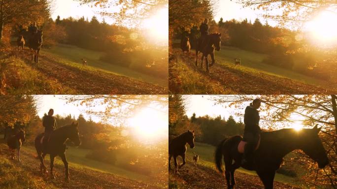 秋天的色彩自然在金色的光芒中闪耀，女士骑马