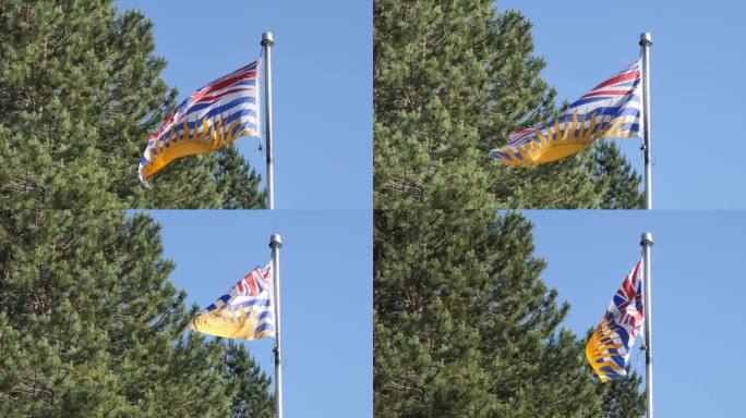 迎风飘扬的不列颠哥伦比亚省的省旗，迎风飘扬的树和湛蓝的天空