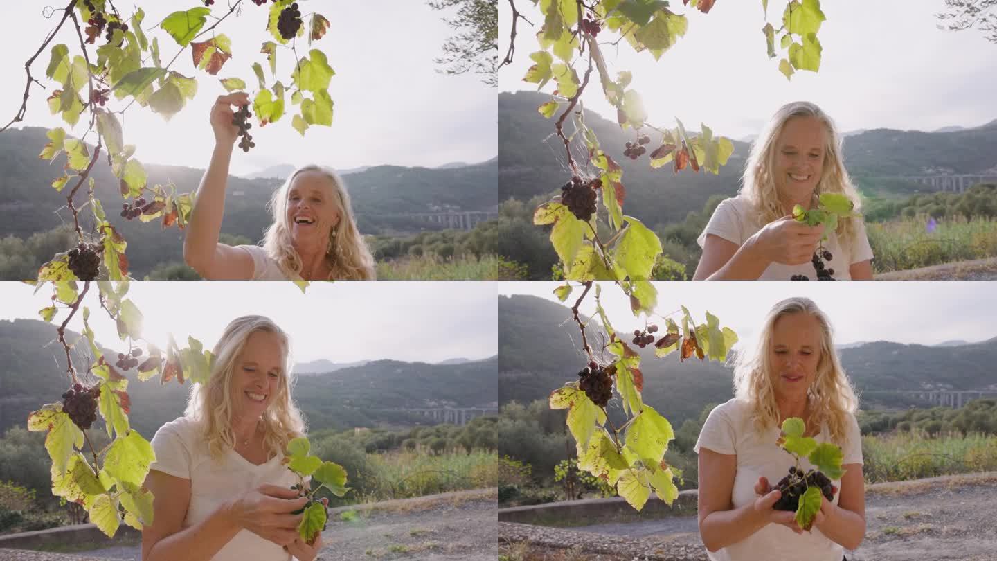 成熟的女人喜欢摘挂在藤上的葡萄