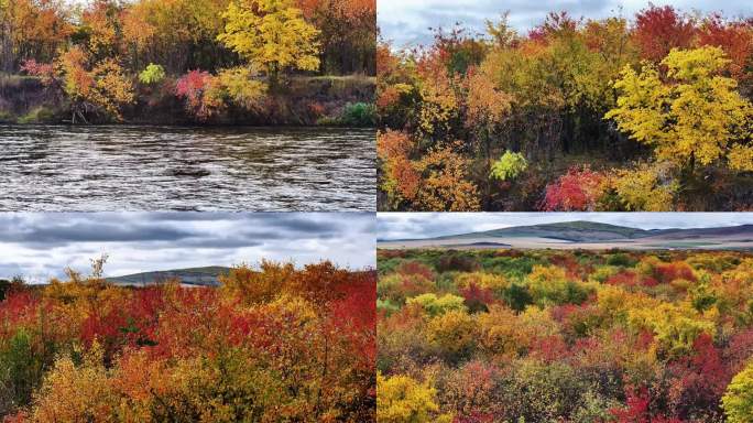 五彩大地、秋天、湿地、河流