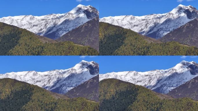 高原雪山秋景蓝天白云