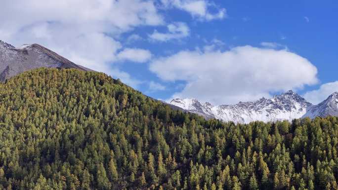 高原雪山秋景航拍