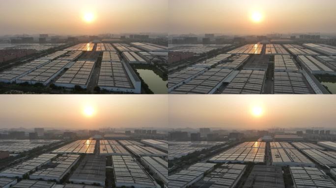 广东工厂屋顶 光伏光电 产业园区