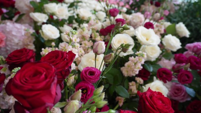 彩色抽象背景的红色，白色和粉红色的玫瑰，千朵玫瑰