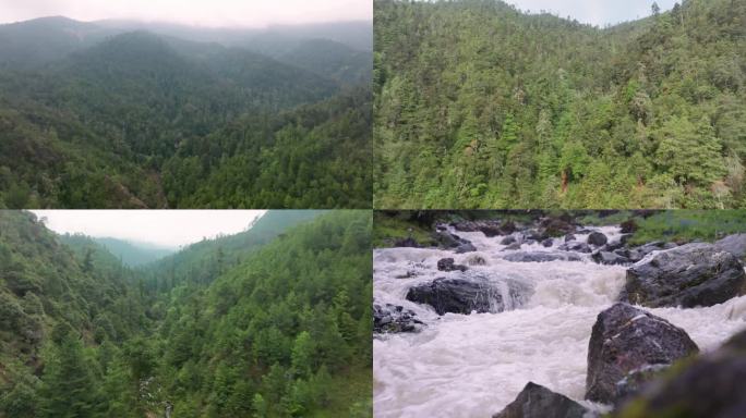 原始森林大自然河谷溪流高山草甸4k