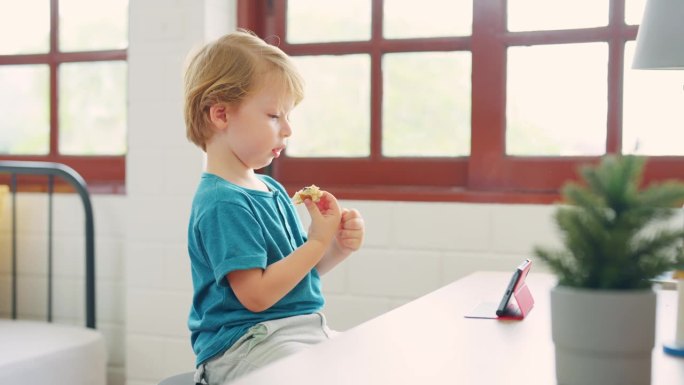白人男婴独自在家用手机看卡通片。可爱可爱的小孩坐在椅子上，在家里的客厅里使用和专注于数字屏幕智能手机