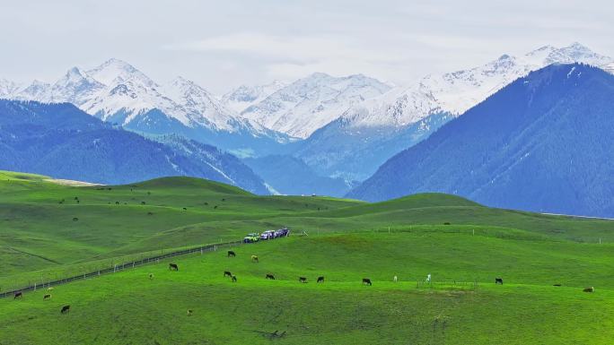 航拍新疆雪山草原（北疆琼库什台）