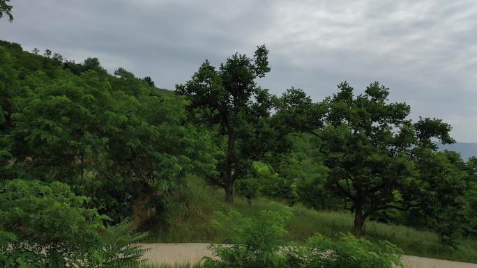 甘肃省天水市麦积区石佛镇腰庄村