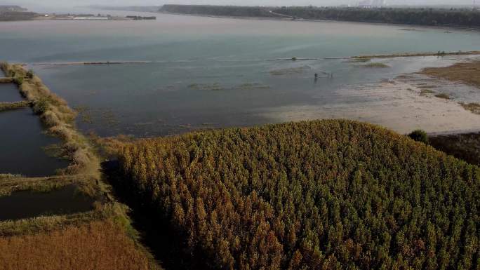 黄河湿地滩涂天鹅湾航拍