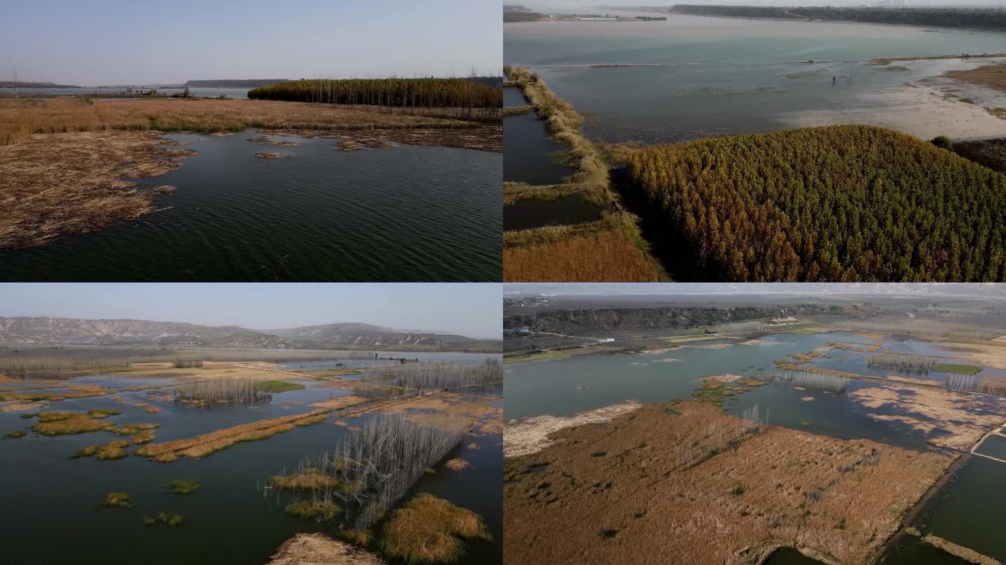 黄河湿地滩涂天鹅湾航拍