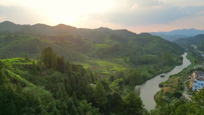 乡村林业  夕阳云霞