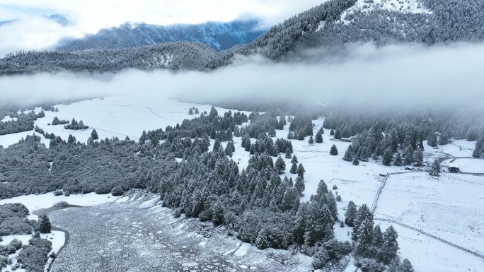 西藏林芝鲁朗林海雪原冬天乡村雪景风光航拍