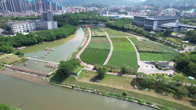 深圳坪山河湿地公园