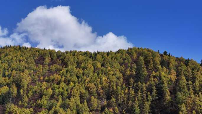 高山秋景蓝天白云航拍