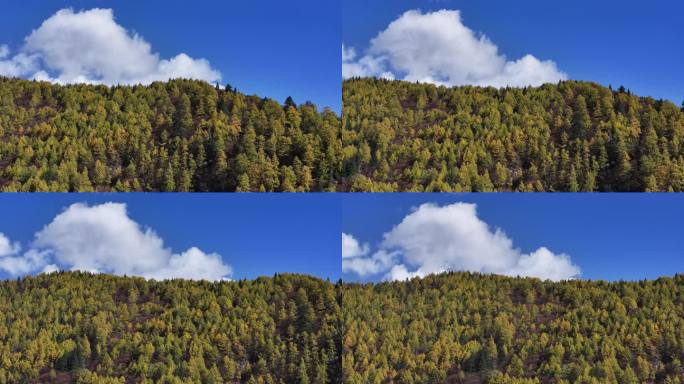 高山秋景蓝天白云航拍