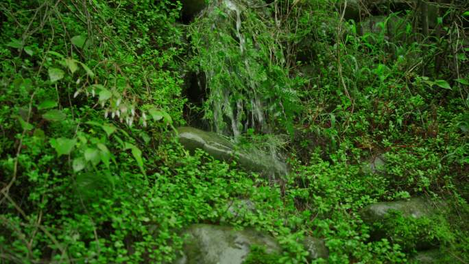 下雨天的山林雨后风景