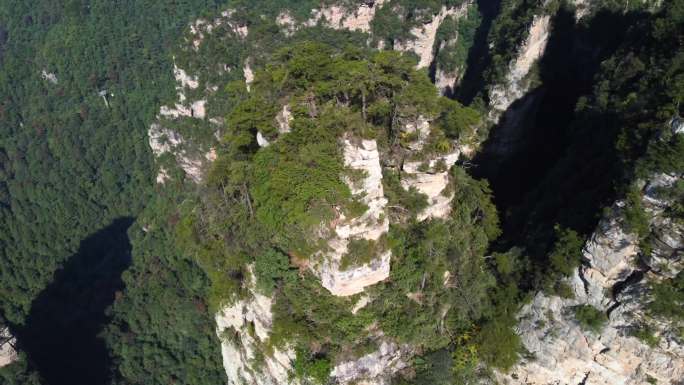 杨家界空中走廊景点航拍4k