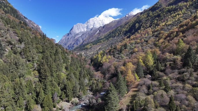 四姑娘山长坪沟秋景航拍