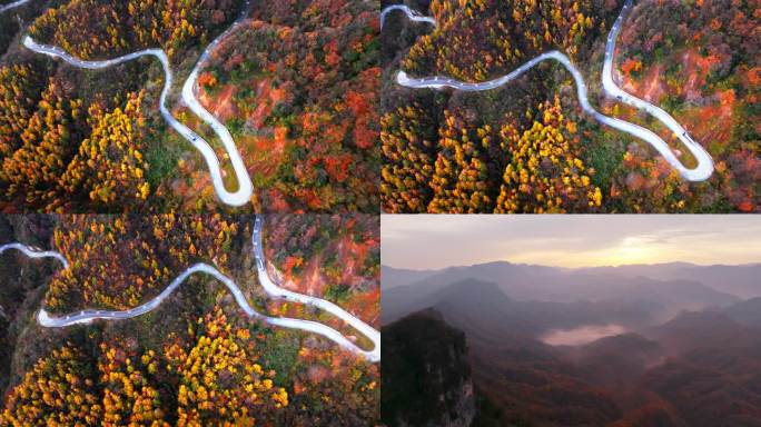 光雾山的路