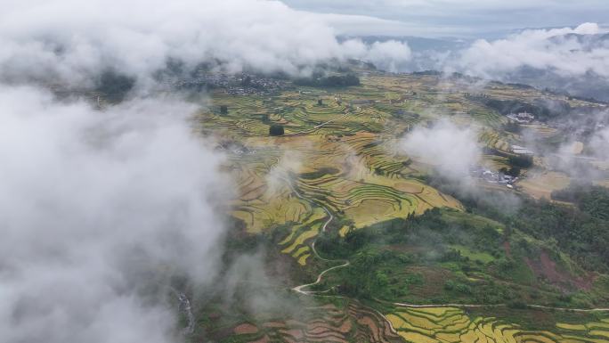 云雾下的龙江梯田风景