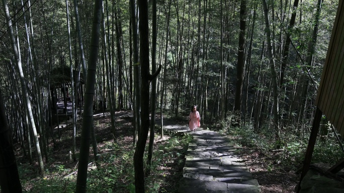 小女孩走在竹林里