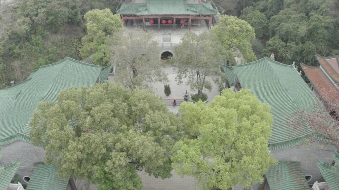 奎福古寺 寺庙 广东 佛山市 顺德