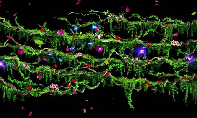 4k唯美藤蔓花生长-带透明通道