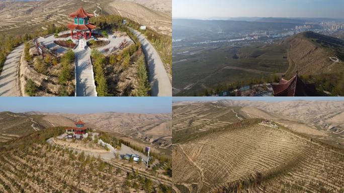 定西市安定区青岛林东西部协作1