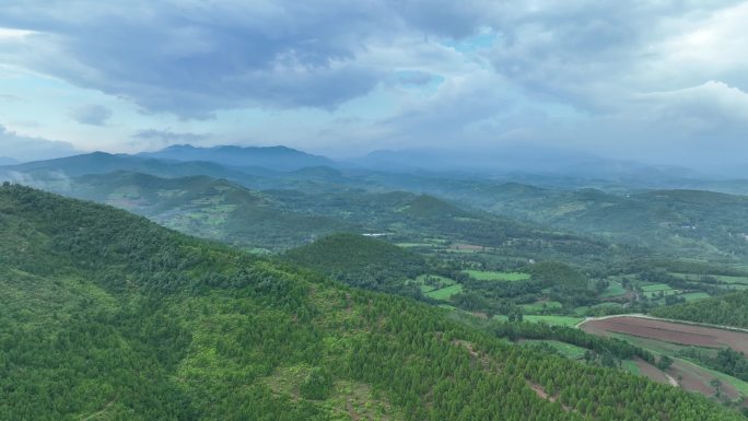 河南大山里的烟田航拍5