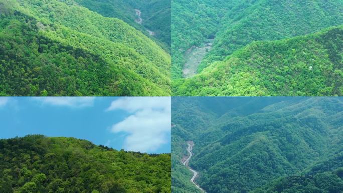 甘山国家森林公园山区汽车绿荫森林航拍B