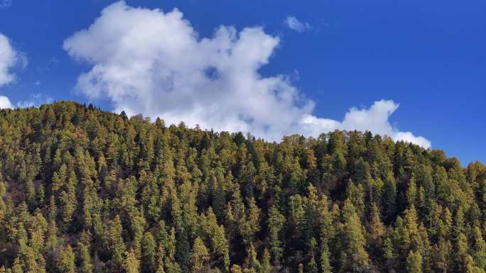 高山秋景蓝天白云航拍