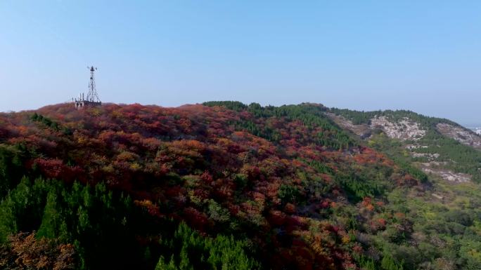 济南腊山秋季风景D-LOG还原