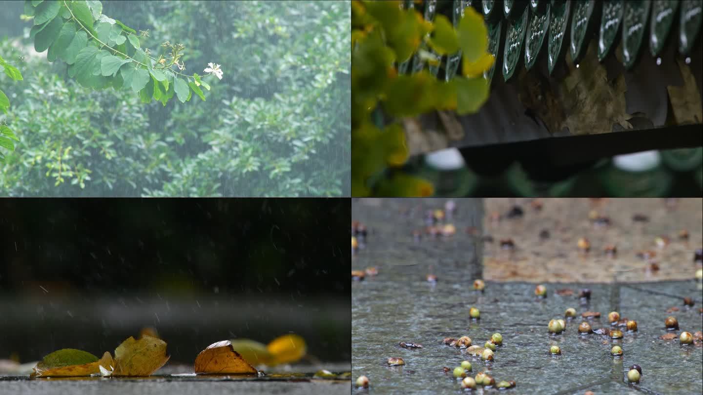 秋雨落叶水滴素材