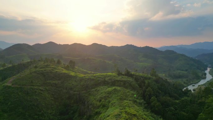 乡村林业  夕阳云霞